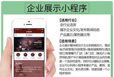 小程序定制開發(fā)、微信公眾號、推廣排名、吸粉